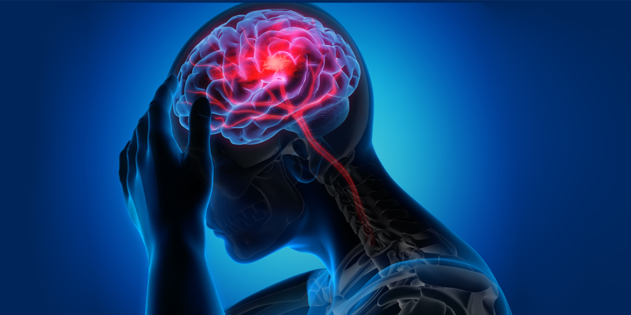 graphic rendering of silhouette of person grabbing their head whie the systems of the brain are highlighted in red