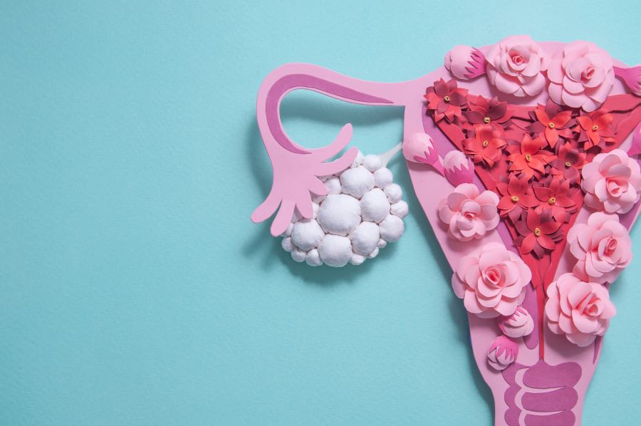 Stylized illustration of a uterus and ovaries made from paper flowers on a blue background