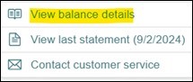 Screenshot of view balance details
