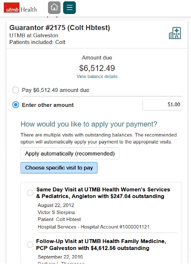 Screenshot of Balance Payments screen