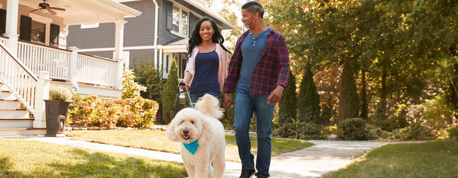 Couple walking dog along suburban street