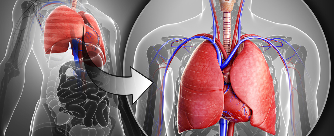 Pulmonary