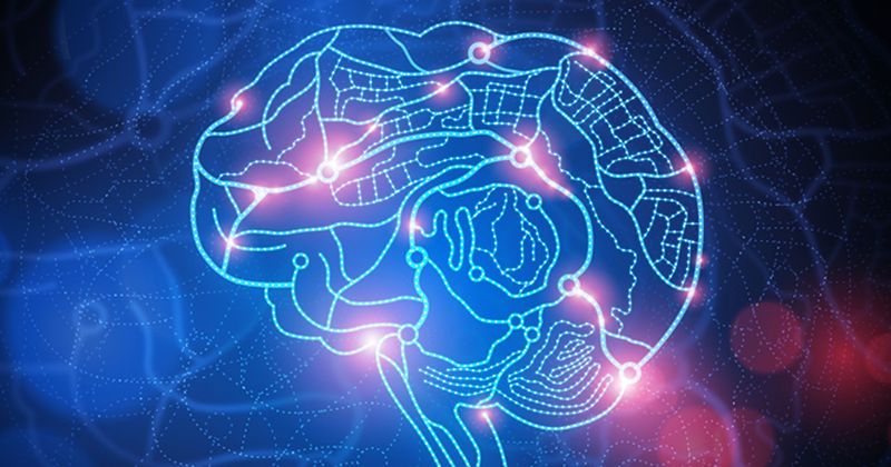 Illustrated image of a human brain with highlighted pathways and glowing areas, representing advanced fluorescence‑guided neurosurgical techniques used to identify and remove glioma tumors