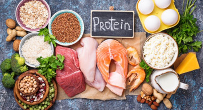 Photo of various types of protein including poultry, fish, lentils and beans